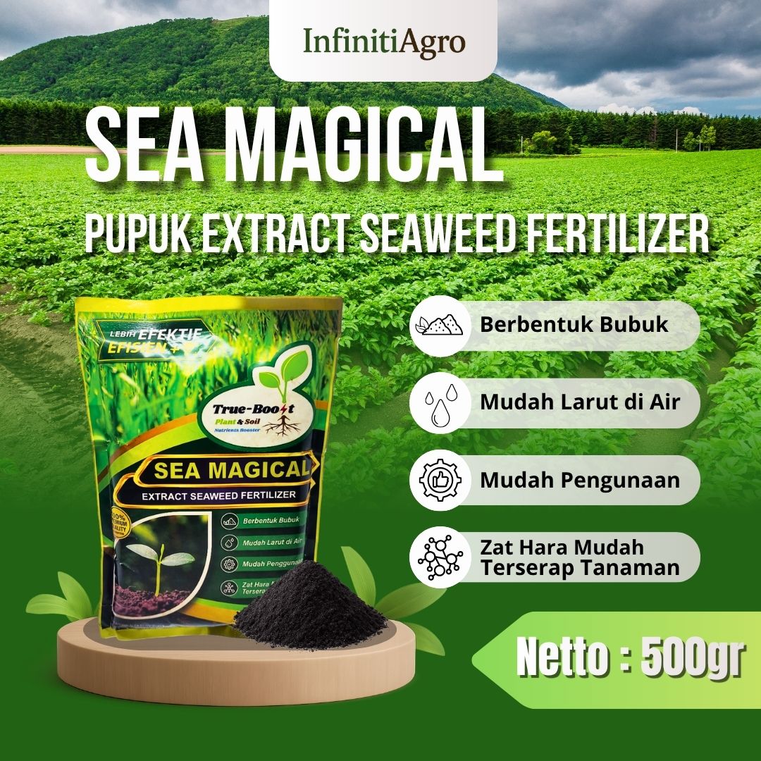 Sea Magical Seaweed Extract Fertilizer