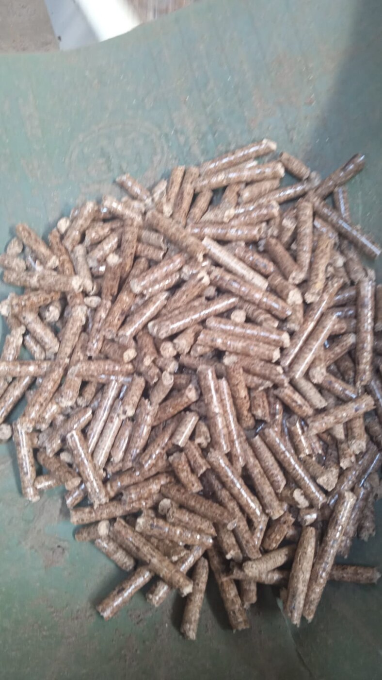 Biomass wood pellets